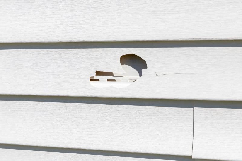 Close-up of Vinyl Siding Patchwork